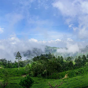 hill country of sri lanka